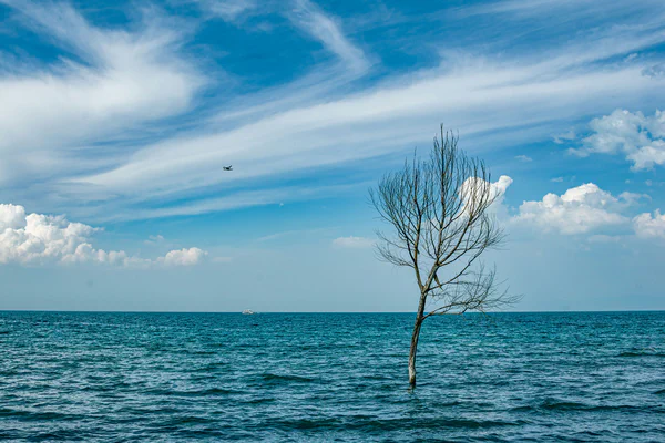 photographs/_DSC6316 (1).jpg