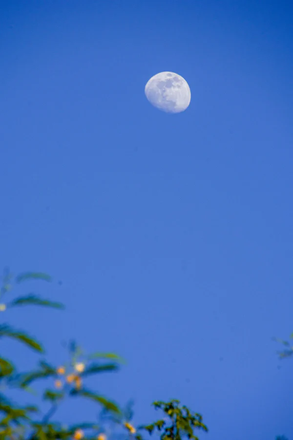 photographs/_DSC7721 (1).jpg